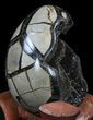 Septarian Dragon Egg Geode - Black Calcite Crystals #33997-2